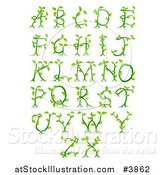 Vector Illustration of Green Vine Alphabet Letters a Through Z by AtStockIllustration