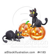 Vector Illustration of Happy Black Cats Playing by Halloween Pumpkins by AtStockIllustration