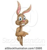 Vector Illustration of Happy Brown Easter Bunny Rabbit Pointing Around a Sign by AtStockIllustration