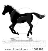 Vector Illustration of Horse Silhouette Animal, with a Reflection or Shadow, on a White Background by AtStockIllustration
