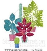 Vector Illustration of House Plants Pots Houseplants Illustration by AtStockIllustration