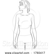 Vector Illustration of Human Physiology Lady Body Anatomy Outline Front by AtStockIllustration