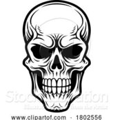 Vector Illustration of Human Skull Illustration by AtStockIllustration