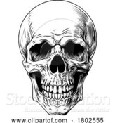 Vector Illustration of Human Skull Woodcut Intaglio Illustration by AtStockIllustration