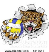 Vector Illustration of Jaguar Leopard Cheetah Panther Volleyball Mascot by AtStockIllustration