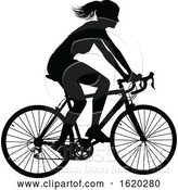 Vector Illustration of Lady Bike Cyclist Riding Bicycle Silhouette by AtStockIllustration