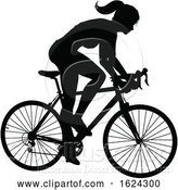 Vector Illustration of Lady Bike Cyclist Riding Bicycle Silhouette by AtStockIllustration
