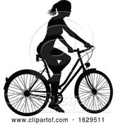 Vector Illustration of Lady Bike Cyclist Riding Bicycle Silhouette by AtStockIllustration