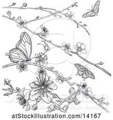 Vector Illustration of Lineart Scene of Cherry Blossoms and Butterflies by AtStockIllustration