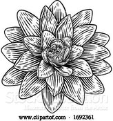 Vector Illustration of Lotus Flower Woodcut Water Lilly Engraved Etching by AtStockIllustration