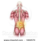 Vector Illustration of Lower Back Pain Medical Anatomy Illustration by AtStockIllustration