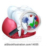 Vector Illustration of Magnifying Glass over a Tooth and Gums, Displaying Bacteria and a Shield by AtStockIllustration