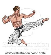 Vector Illustration of Muscular Kung Fu Martial Artist Kicking by AtStockIllustration