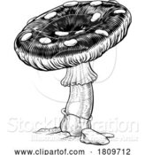 Vector Illustration of Mushroom Toadstool Fly Agaric Amanita Muscaria by AtStockIllustration