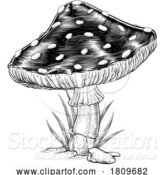 Vector Illustration of Mushroom Toadstool Fly Agaric Amanita Muscaria by AtStockIllustration