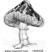 Vector Illustration of Mushroom Toadstool Fly Agaric Amanita Muscaria by AtStockIllustration