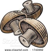 Vector Illustration of Mushroom Vegetable Vintage Woodcut Illustration by AtStockIllustration