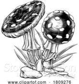 Vector Illustration of Mushrooms Toadstools Vintage Engraved Woodcut by AtStockIllustration