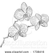 Vector Illustration of Orchid Flower Woodcut Etching by AtStockIllustration