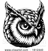 Vector Illustration of Owl Face Head Mascot Bird Illustration by AtStockIllustration