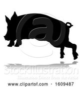 Vector Illustration of Pig Silhouette Farm Animal, with a Reflection or Shadow, on a White Background by AtStockIllustration