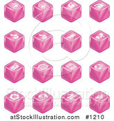 Vector Illustration of Pink Cube Icons: Page Forward, Page Back, Upload, Download, Email, Snail Mail, Envelope, Refresh, News, Www, Home Page, and Information by AtStockIllustration