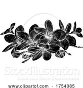 Vector Illustration of Plumeria Frangipani Tropical Bali Flower Etching by AtStockIllustration
