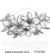 Vector Illustration of Plumeria Frangipani Tropical Bali Flower Woodcut by AtStockIllustration