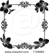 Vector Illustration of Plumeria Frangipani Tropical Flower Funeral Invite by AtStockIllustration