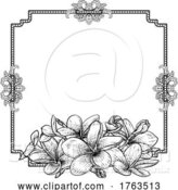 Vector Illustration of Plumeria Frangipani Tropical Flower Funeral Invite by AtStockIllustration