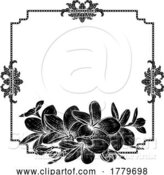 Vector Illustration of Plumeria Frangipani Tropical Flower Funeral Invite by AtStockIllustration