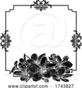 Vector Illustration of Plumeria Frangipani Tropical Flower Wedding Invite by AtStockIllustration