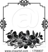 Vector Illustration of Plumeria Tropical Flower Wedding Invite Background by AtStockIllustration
