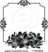 Vector Illustration of Plumeria Tropical Flower Wedding Invite Background by AtStockIllustration
