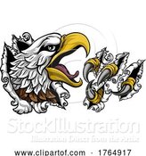 Vector Illustration of Ripping Tearing Bald Eagle Hawk Head Claw Talons by AtStockIllustration