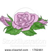 Vector Illustration of Rose Flower Design Woodcut Vintage Retro Style by AtStockIllustration