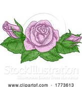 Vector Illustration of Rose Flower Design Woodcut Vintage Retro Style by AtStockIllustration