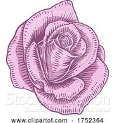 Vector Illustration of Rose Flower Design Woodcut Vintage Style by AtStockIllustration