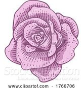 Vector Illustration of Rose Flower Design Woodcut Vintage Style by AtStockIllustration