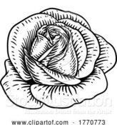 Vector Illustration of Rose Flower Vintage Woodcut Drawing by AtStockIllustration