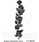 Vector Illustration of Roses Rose Flowers Design in Vintage Woodcut Style by AtStockIllustration