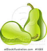 Vector Illustration of Shiny Organic Green Pears by AtStockIllustration