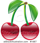 Vector Illustration of Shiny Organic Red Cherries by AtStockIllustration