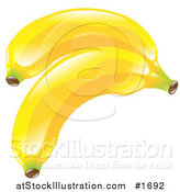 Vector Illustration of Shiny Organic Yellow Bananas by AtStockIllustration