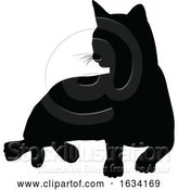 Vector Illustration of Silhouette Cat Pet Animal by AtStockIllustration