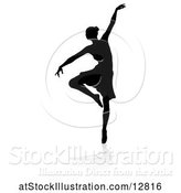 Vector Illustration of Silhouetted Ballerina Dancing, with a Reflection or Shadow, on a White Background by AtStockIllustration