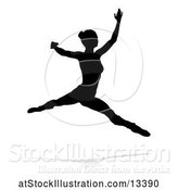 Vector Illustration of Silhouetted Ballerina Dancing with a Reflection or Shadow, on a White Background by AtStockIllustration