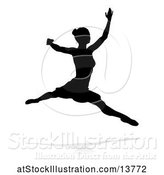Vector Illustration of Silhouetted Ballerina Leaping with a Reflection or Shadow, on a White Background by AtStockIllustration