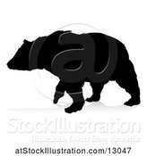 Vector Illustration of Silhouetted Bear, with a Reflection or Shadow, on a White Background by AtStockIllustration