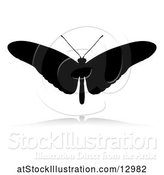 Vector Illustration of Silhouetted Butterfly, with a Reflection or Shadow, on a White Background by AtStockIllustration